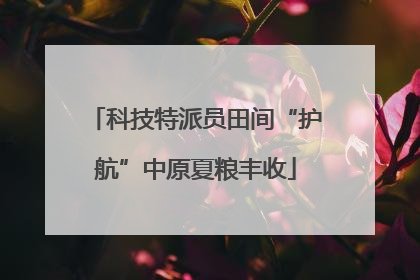 科技特派员田间“护航”中原夏粮丰收