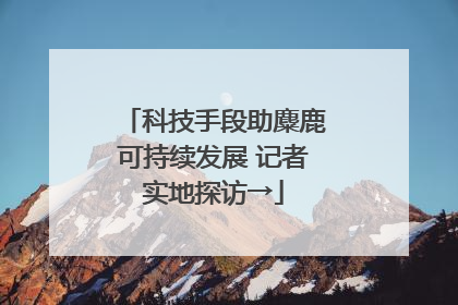 科技手段助麋鹿可持续发展 记者实地探访→