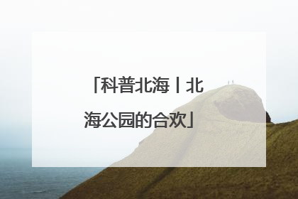 科普北海丨北海公园的合欢