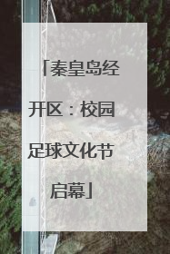 秦皇岛经开区：校园足球文化节启幕