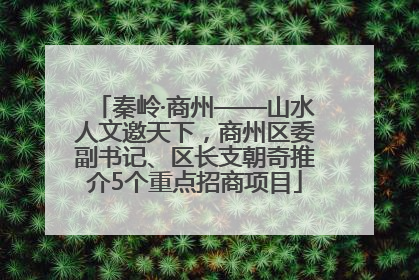 秦岭·商州——山水人文邀天下，商州区委副书记、区长支朝奇推介5个重点招商项目
