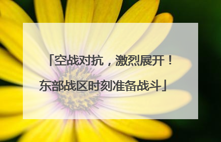 空战对抗，激烈展开！东部战区时刻准备战斗