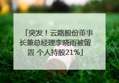 突发！云路股份董事长兼总经理李晓雨被留置 个人持股21%
