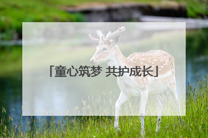 童心筑梦 共护成长