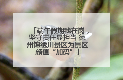 端午假期我在岗，坚守责任显担当 德州锦绣川景区为景区颜值“加码”