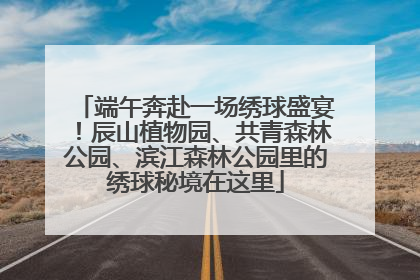端午奔赴一场绣球盛宴！辰山植物园、共青森林公园、滨江森林公园里的绣球秘境在这里