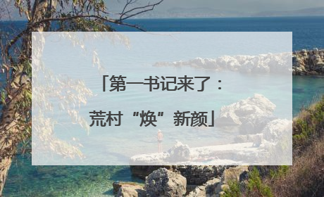 第一书记来了：荒村“焕”新颜