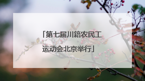 第七届川籍农民工运动会北京举行