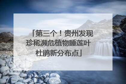 第三个！贵州发现珍稀濒危植物睡莲叶杜鹃新分布点