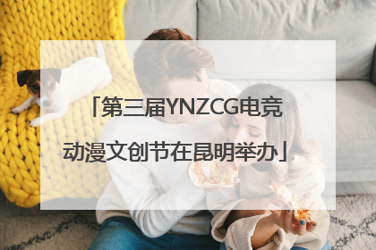 第三届YNZCG电竞动漫文创节在昆明举办