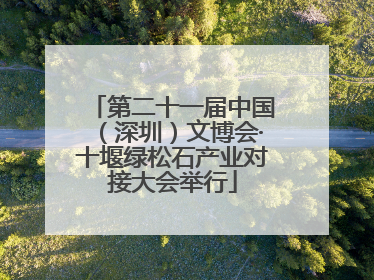 第二十一届中国（深圳）文博会·十堰绿松石产业对接大会举行