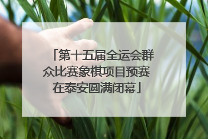第十五届全运会群众比赛象棋项目预赛在泰安圆满闭幕