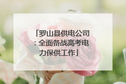 罗山县供电公司：全面备战高考电力保供工作