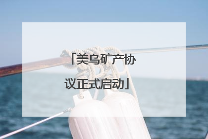 美乌矿产协议正式启动