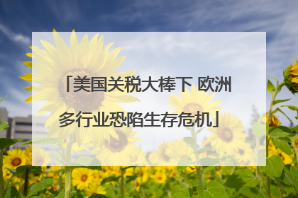 美国关税大棒下 欧洲多行业恐陷生存危机