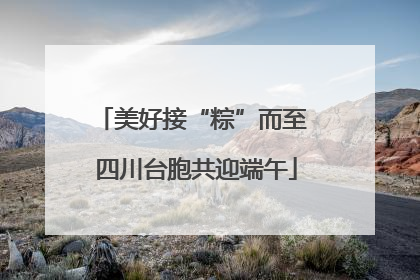 美好接“粽”而至 四川台胞共迎端午