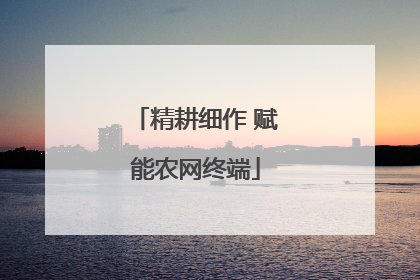 精耕细作 赋能农网终端