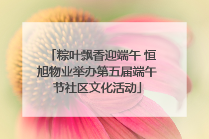粽叶飘香迎端午 恒旭物业举办第五届端午节社区文化活动