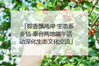 粽香飘两岸 生态系乡情 奉台两地端午活动深化生态文化交流