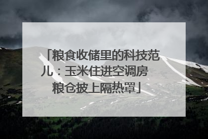 粮食收储里的科技范儿：玉米住进空调房 粮仓披上隔热罩
