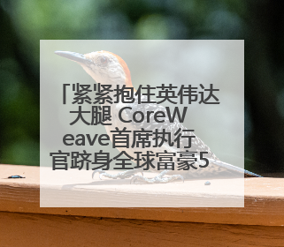 紧紧抱住英伟达大腿 CoreWeave首席执行官跻身全球富豪500强