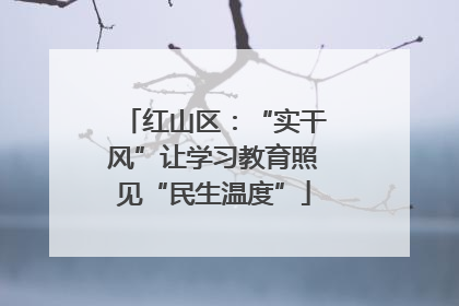 红山区：“实干风”让学习教育照见“民生温度”