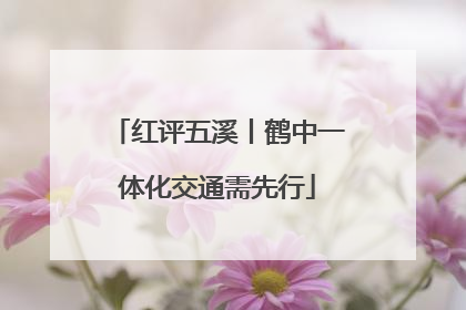 红评五溪丨鹤中一体化交通需先行