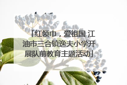 红领巾，爱祖国 江油市三合镇逸夫小学开展队前教育主题活动