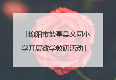 绵阳市盐亭县文同小学开展数学教研活动