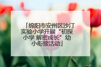 绵阳市安州区沙汀实验小学开展“初探小学 解密成长”幼小衔接活动