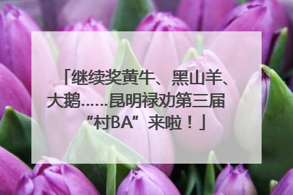 继续奖黄牛、黑山羊、大鹅……昆明禄劝第三届“村BA”来啦！