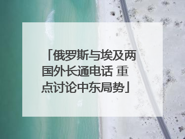 俄罗斯与埃及两国外长通电话 重点讨论中东局势