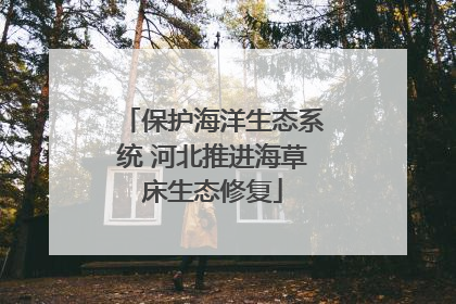 保护海洋生态系统 河北推进海草床生态修复