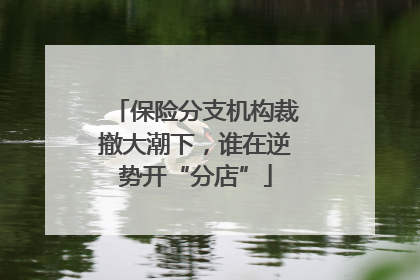 保险分支机构裁撤大潮下，谁在逆势开“分店”