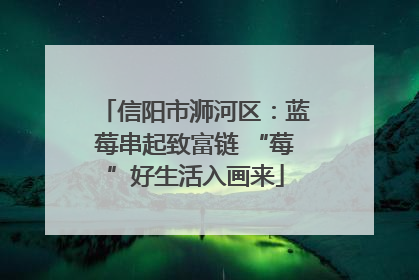 信阳市浉河区：蓝莓串起致富链 “莓”好生活入画来