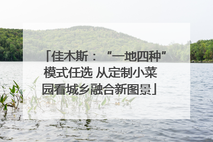 佳木斯：“一地四种” 模式任选 从定制小菜园看城乡融合新图景