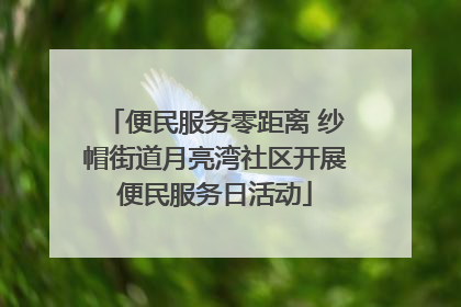 便民服务零距离 纱帽街道月亮湾社区开展便民服务日活动