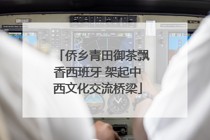 侨乡青田御茶飘香西班牙 架起中西文化交流桥梁