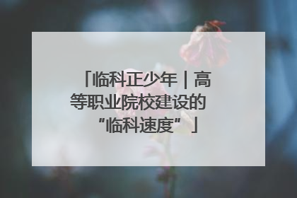 临科正少年｜高等职业院校建设的“临科速度”