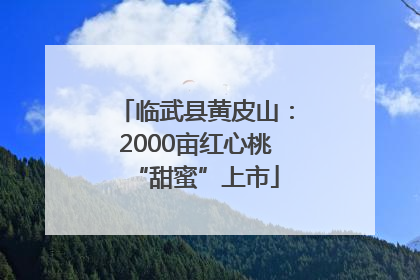 临武县黄皮山：2000亩红心桃“甜蜜”上市