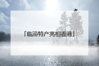 临潼特产亮相香港
