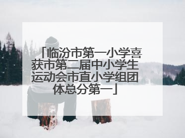 临汾市第一小学喜获市第二届中小学生运动会市直小学组团体总分第一