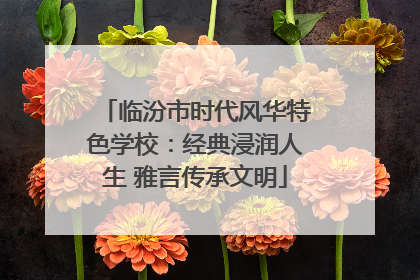 临汾市时代风华特色学校：经典浸润人生 雅言传承文明