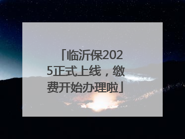 临沂保2025正式上线，缴费开始办理啦