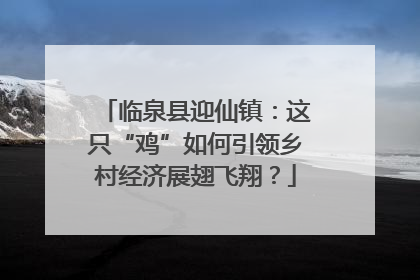 临泉县迎仙镇：这只“鸡”如何引领乡村经济展翅飞翔？