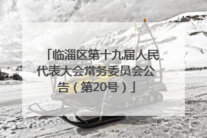 临淄区第十九届人民代表大会常务委员会公告（第20号）