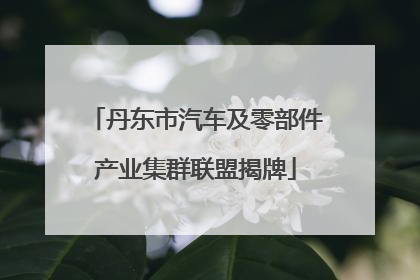 丹东市汽车及零部件产业集群联盟揭牌