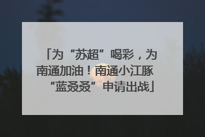 为“苏超”喝彩，为南通加油！南通小江豚“蓝叒叒”申请出战
