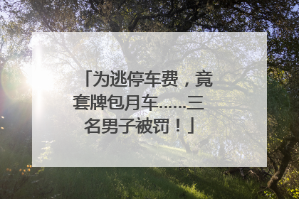 为逃停车费，竟套牌包月车……三名男子被罚！