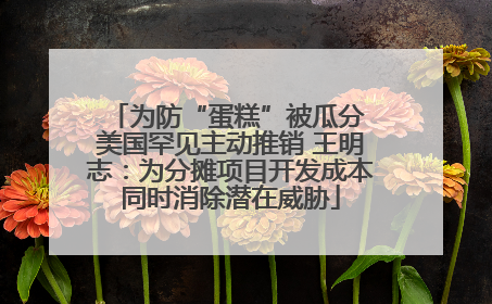 为防“蛋糕”被瓜分 美国罕见主动推销 王明志：为分摊项目开发成本同时消除潜在威胁